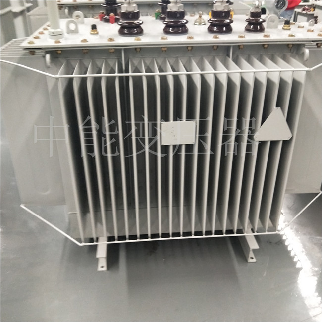 来宾S20-800KVA变压器