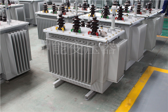 来宾S22-100KVA/10KV/0.4KV变压器